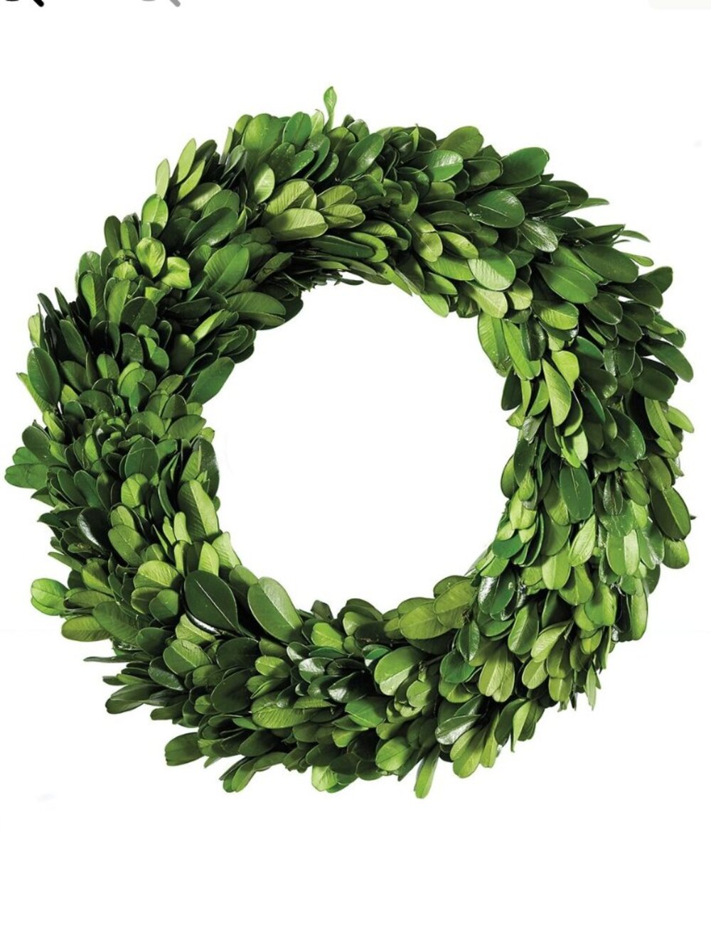 BALLARD DESIGNS PRESERVED BOXWOOD TOPIARY WREATH CHAIR TABLE CENTERPIECE DECOR